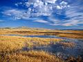 Lower Klamath Lake National Wildlife Refuge, California
